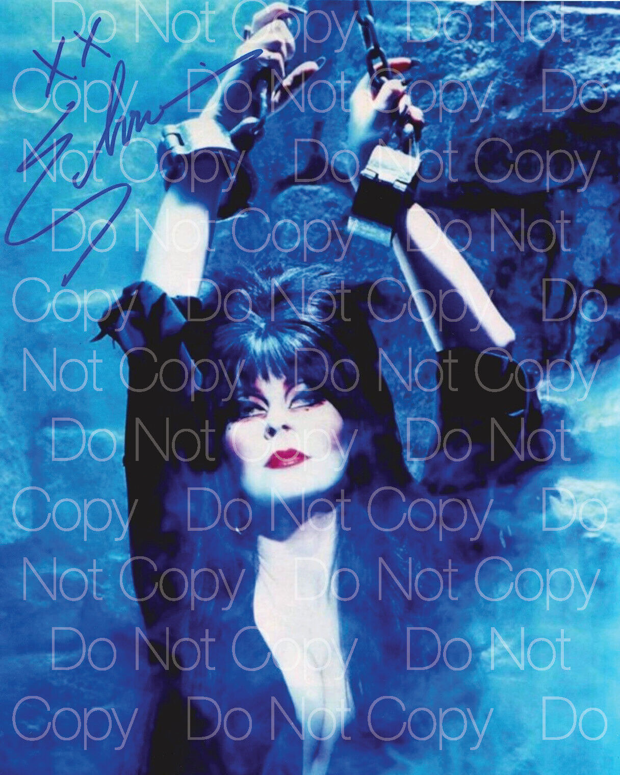 Elvira signed 8X10 inch Photo Poster painting picture poster autograph RP