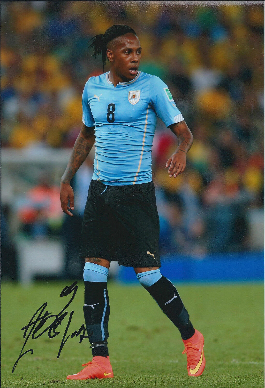 Abel HERNANDEZ Signed Autograph 12x8 Photo Poster painting AFTAL COA Uruguay Striker