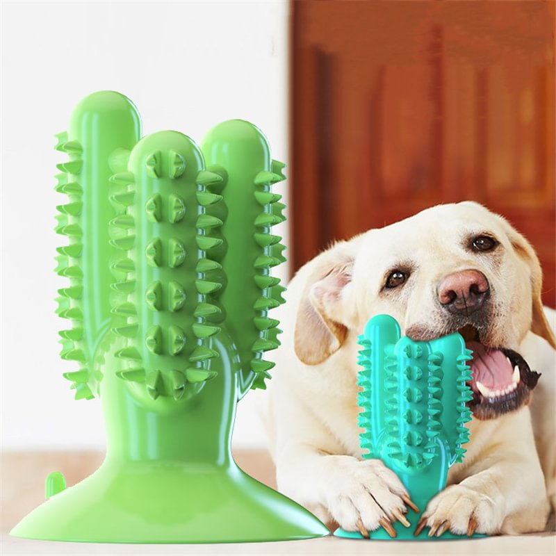 Pet molar cleaning brush dog toy dog