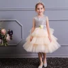 Girl Ceremonies Dress Wedding Party Birthday Gown Vestidos Tutu Dress - honeylives