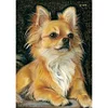 Perle De Chien - Rond Diamant Peinture40X50CM