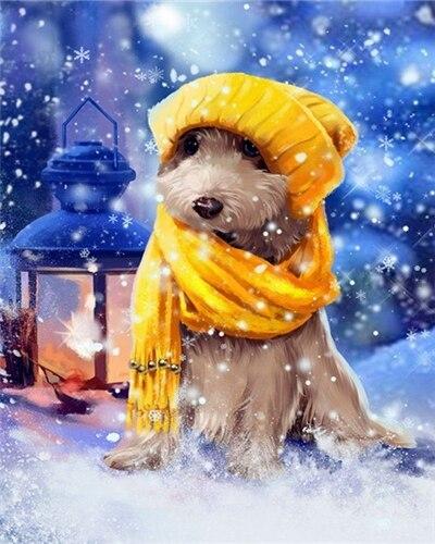 

Dog in Winter Clothes – Paint By Numbers - 40*50CM, 501 Original