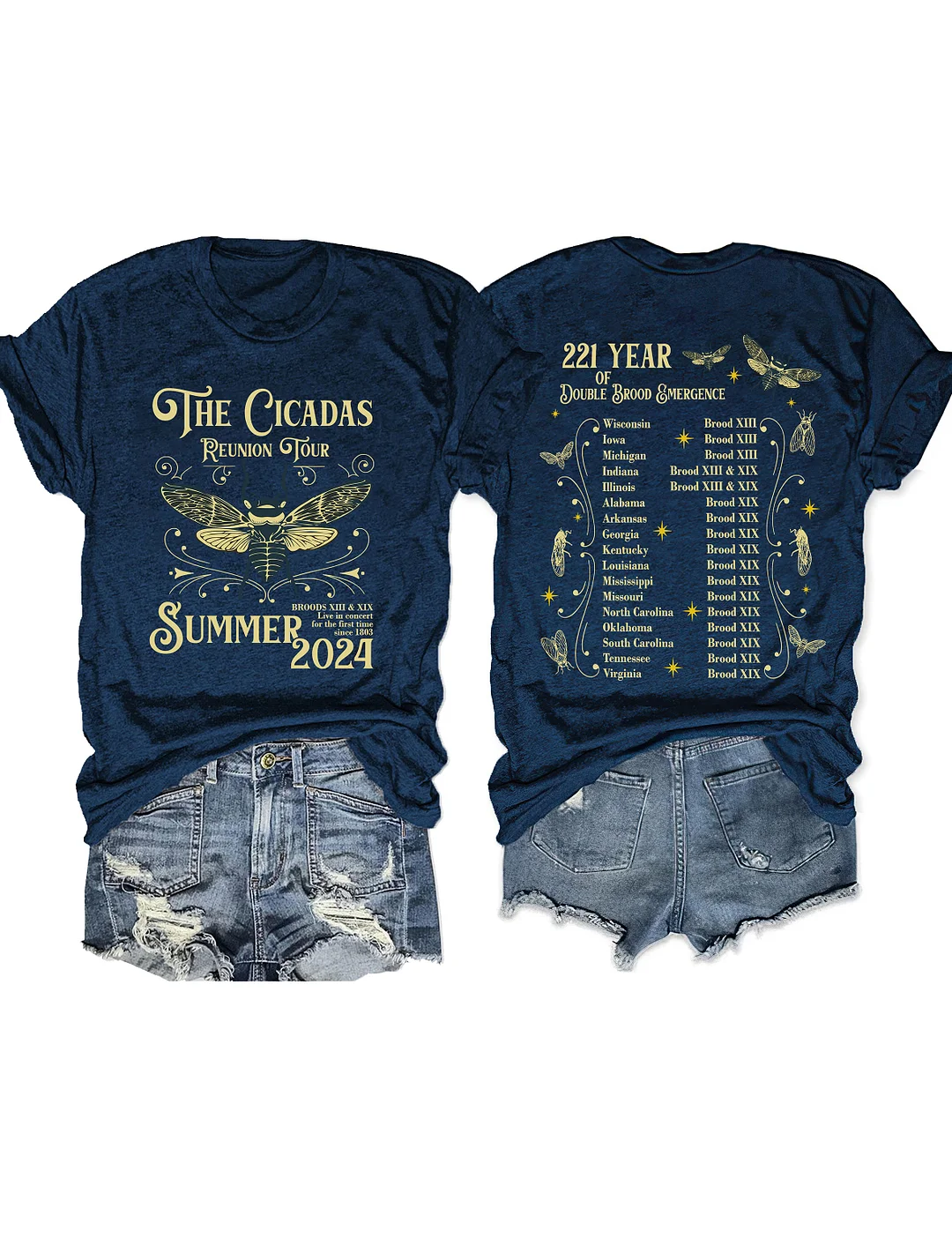 The Cicadas Reunion Tour Summer 2024 T-shirt