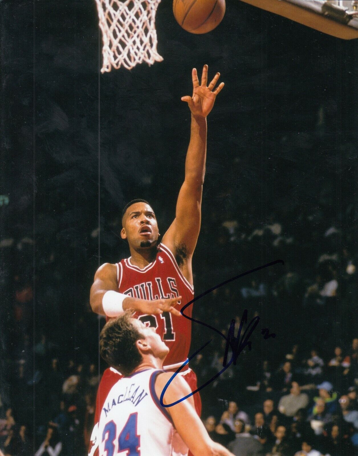 STACEY KING signed (CHICAGO BULLS) BASKETBALL *LAST DANCE* 8X10 Photo Poster painting W/COA #2