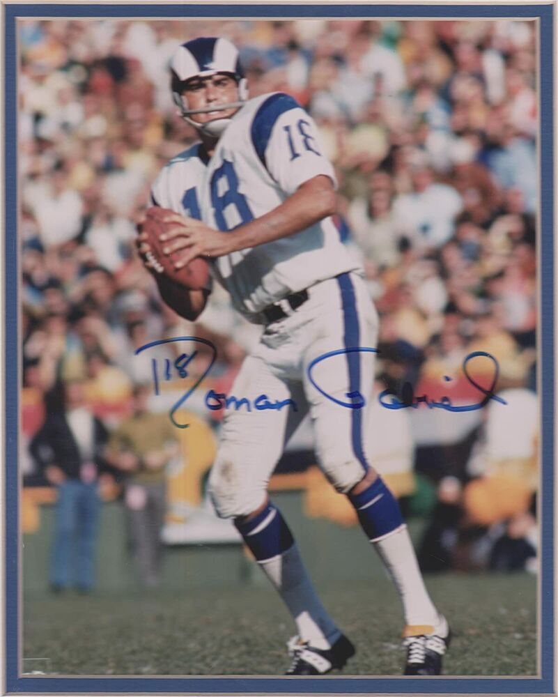 Roman Gabriel matted original 8X10 autographed Photo Poster painting w/COA