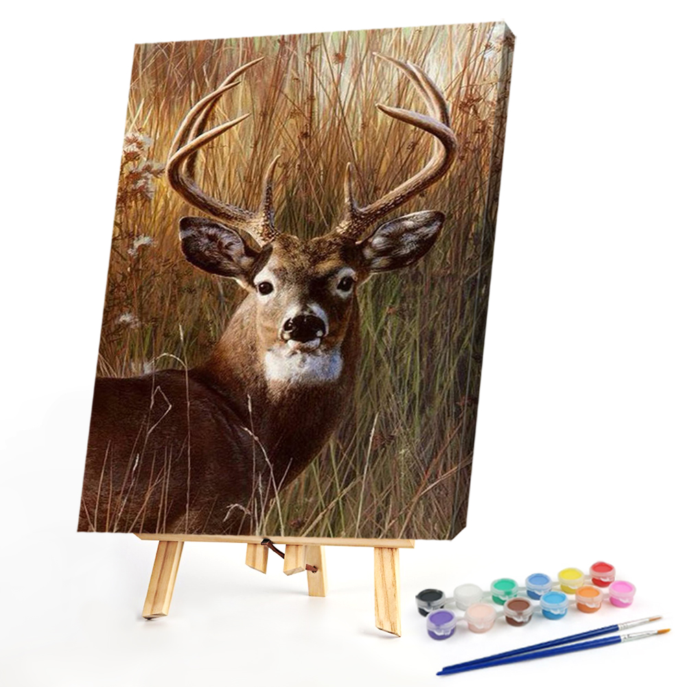 

40*50CM - Paint By Numbers - Deer, 501 Original