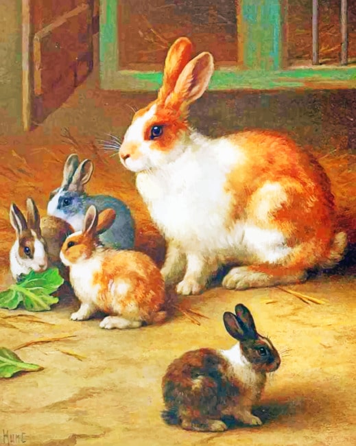 

Rabbits – Paint By Numbers - 40*50CM, 501 Original