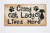 DIY diamond wall mount kit door and window tag-Cat