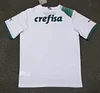 2023/2024 Palmeiras Away Jersey 1:1 Thai Quality