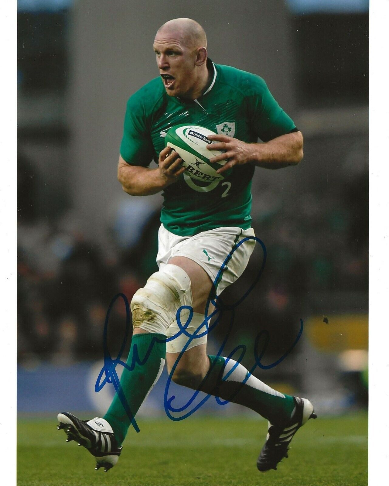 Paul O'Connell Munster signed Ireland Rugby 8x10 Photo Poster painting autographed