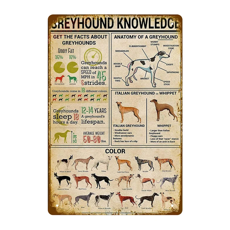 Dog Greyhound Knowledge - Vintage Tin Signs/Wooden Signs - 7.9x11.8in & 11.8x15.7in