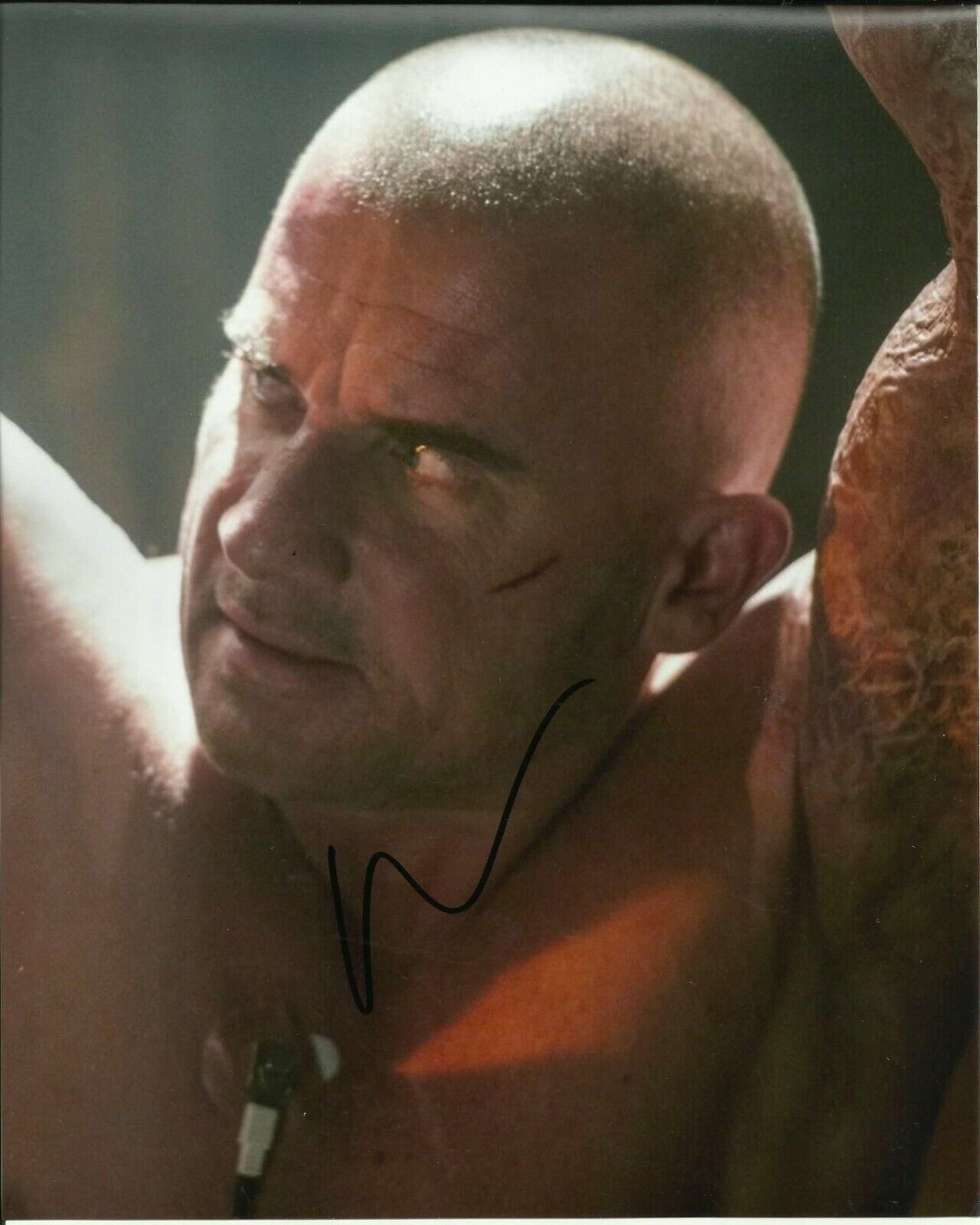 DOMINIC PURCELL SIGNED BLADE Photo Poster painting UACC REG 242