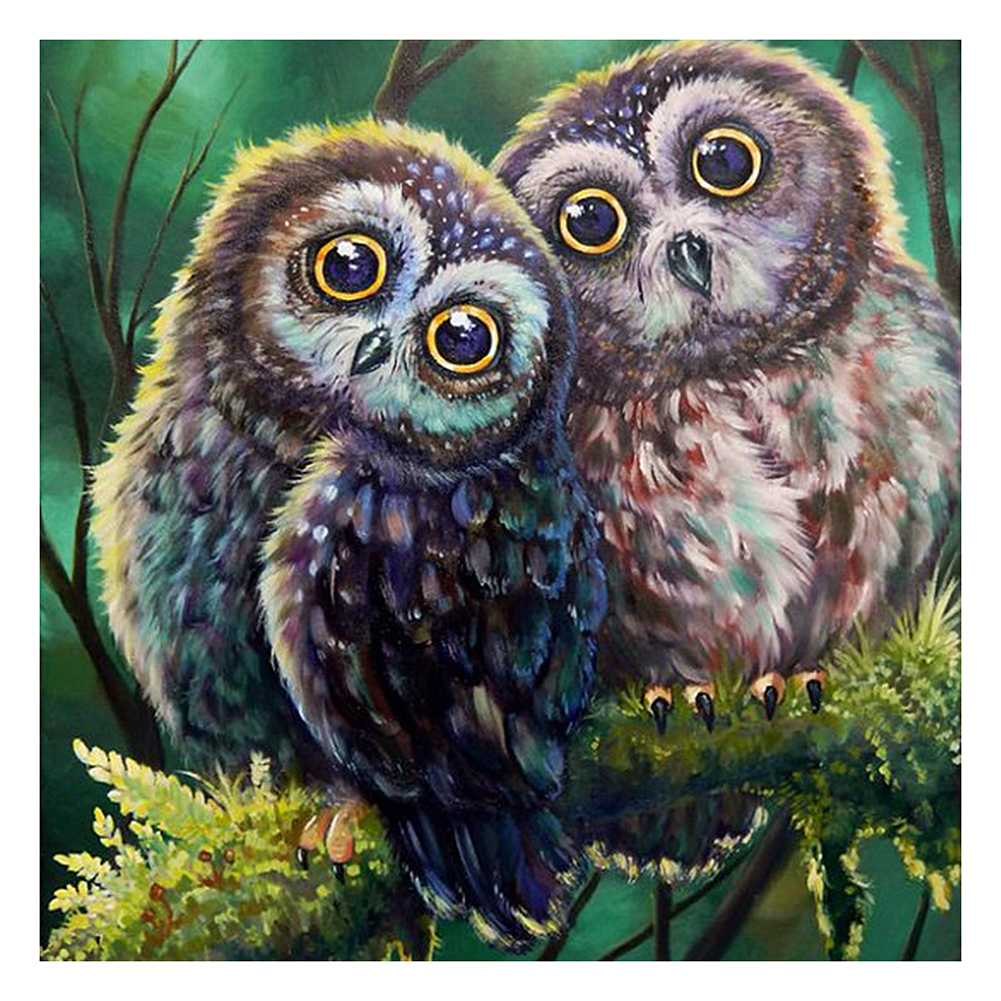 

Owl - 11CT Stamped Cross Stitch - 48*48CM, 501 Original