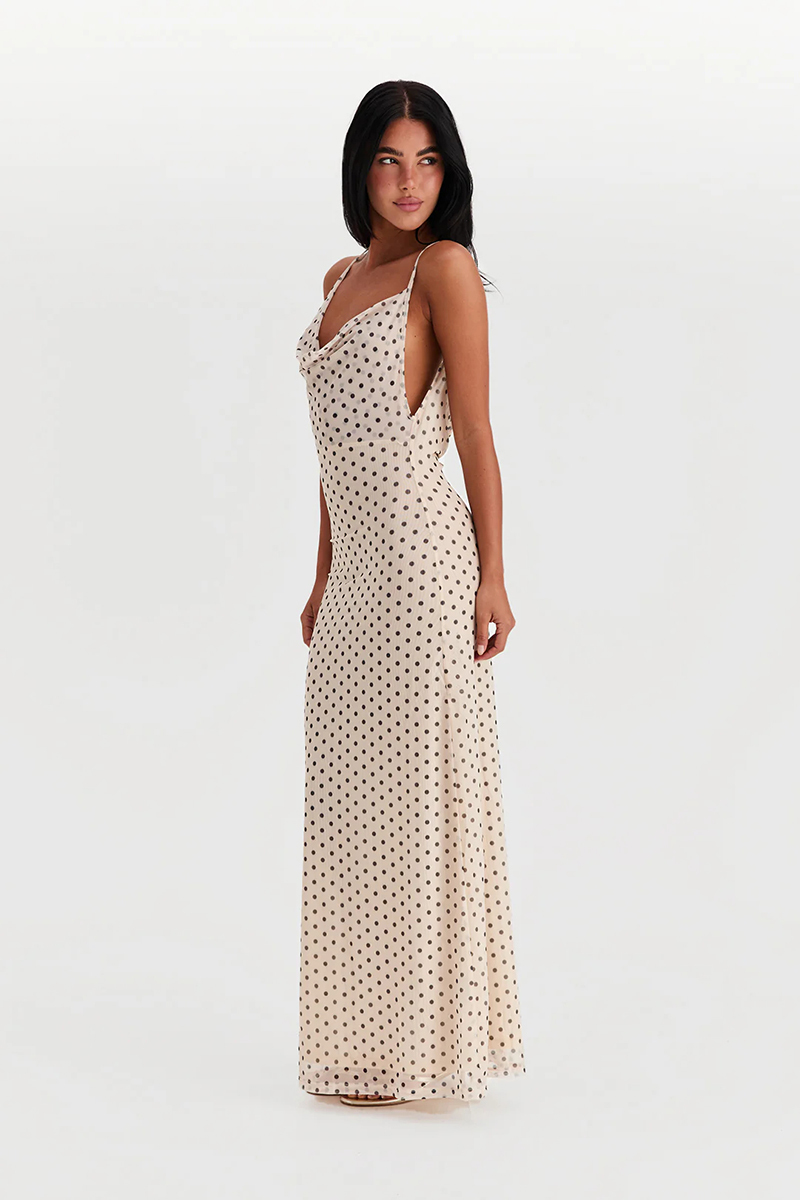Fiora Maxi Dress Polka Dot (1).jpg