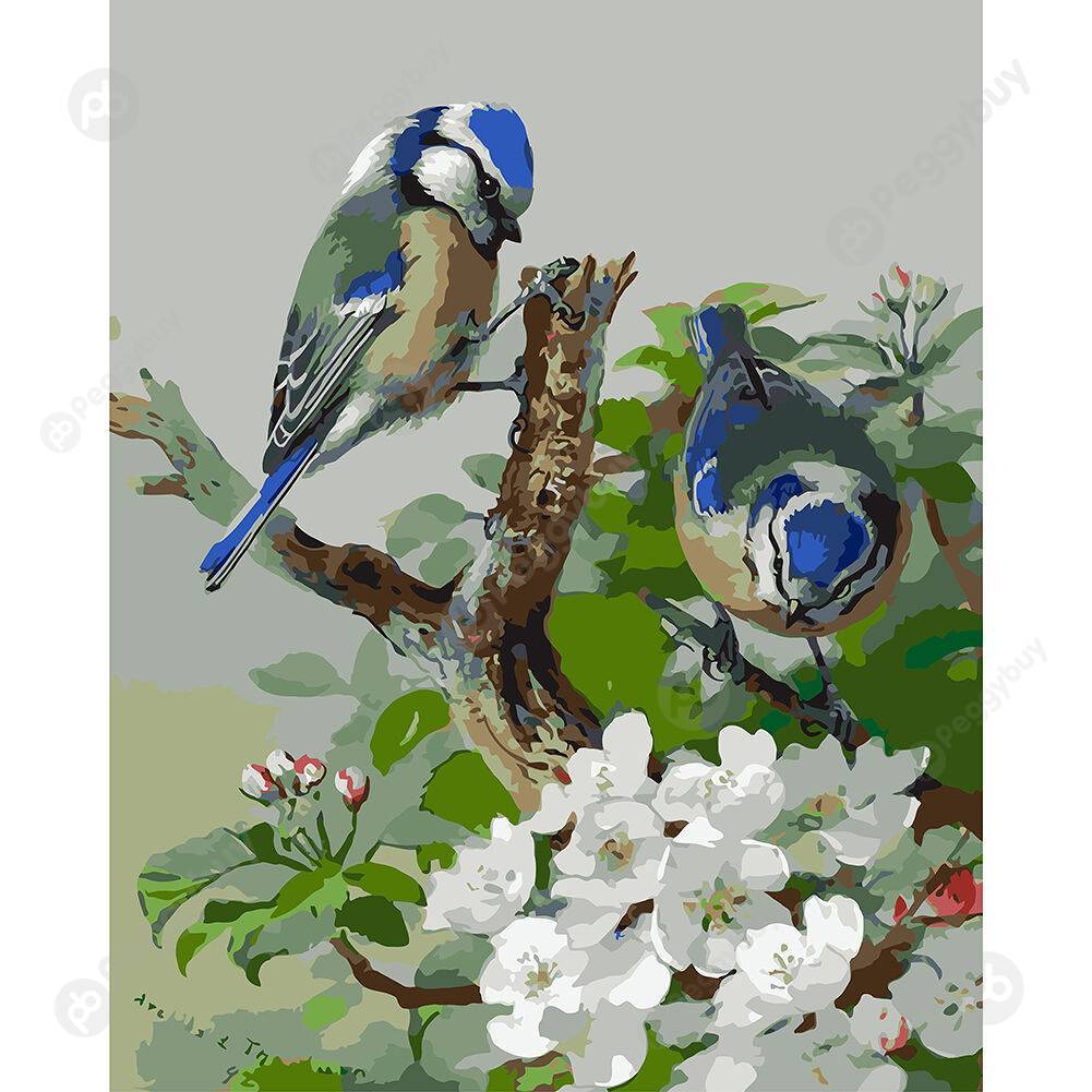 

40*50CM Paint By Numbers-Two Blue Birds, 501 Original
