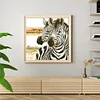 Zebra - 9CT Partial Beaded Cross Stitch Kit(62x62cm)