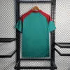 2023/2024 Fluminense Pre-Match Training  Soccer Shirt