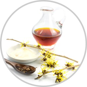 Witch Hazel Extract - ingredient of wow skin science Vitamin C Face Serum