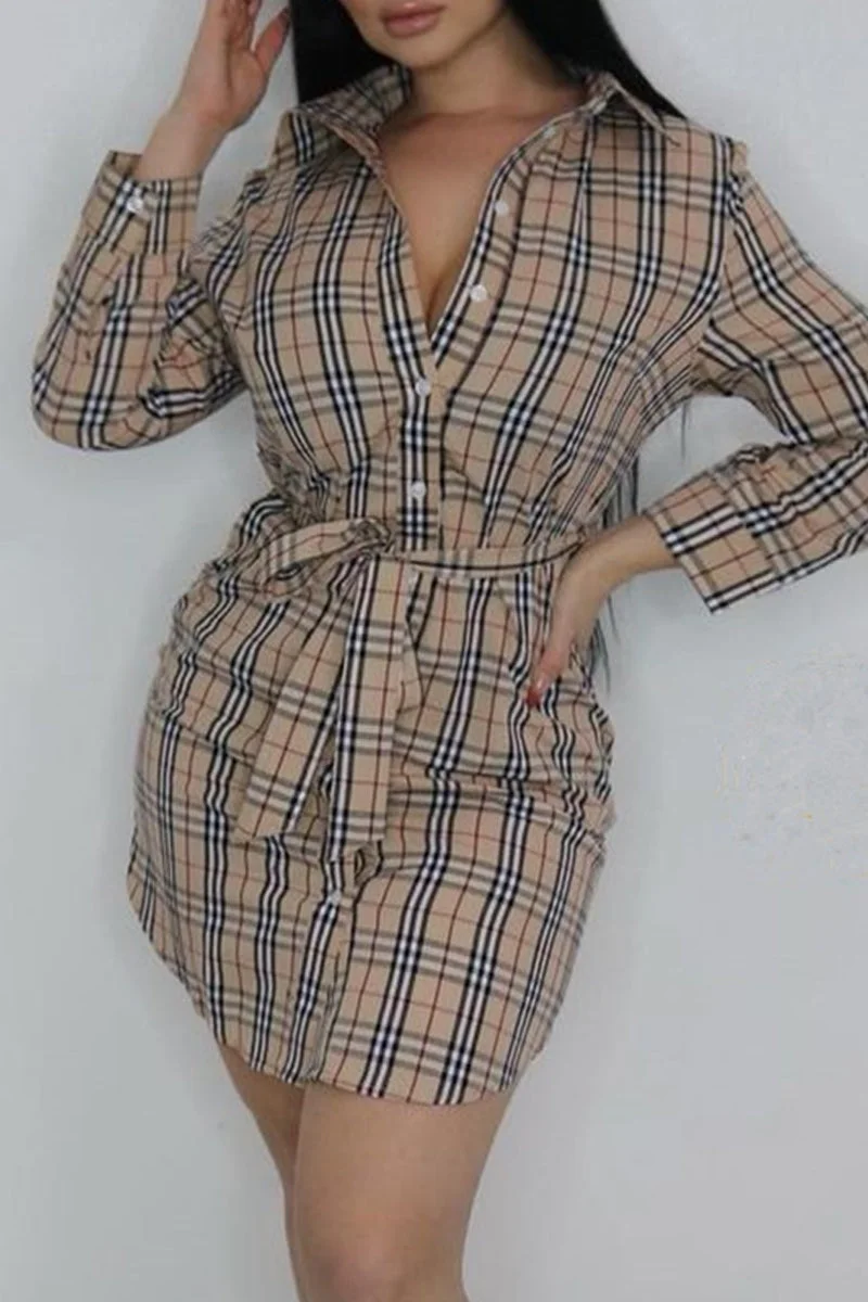 Fashion Casual Plaid Print Basic Turndown Collar Shirt Dress