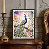 Diamond Painting-DIY Special Shaped Drill Pearl Painting Peacock(30x40cm)