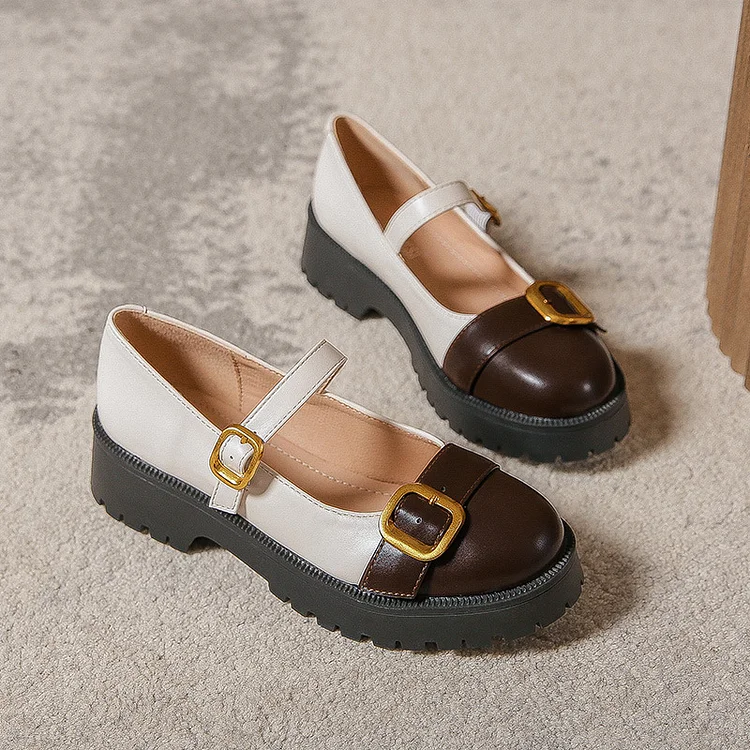 Retro Mary Jane Shoes Buckle Strap Platform Loafer School Shoes