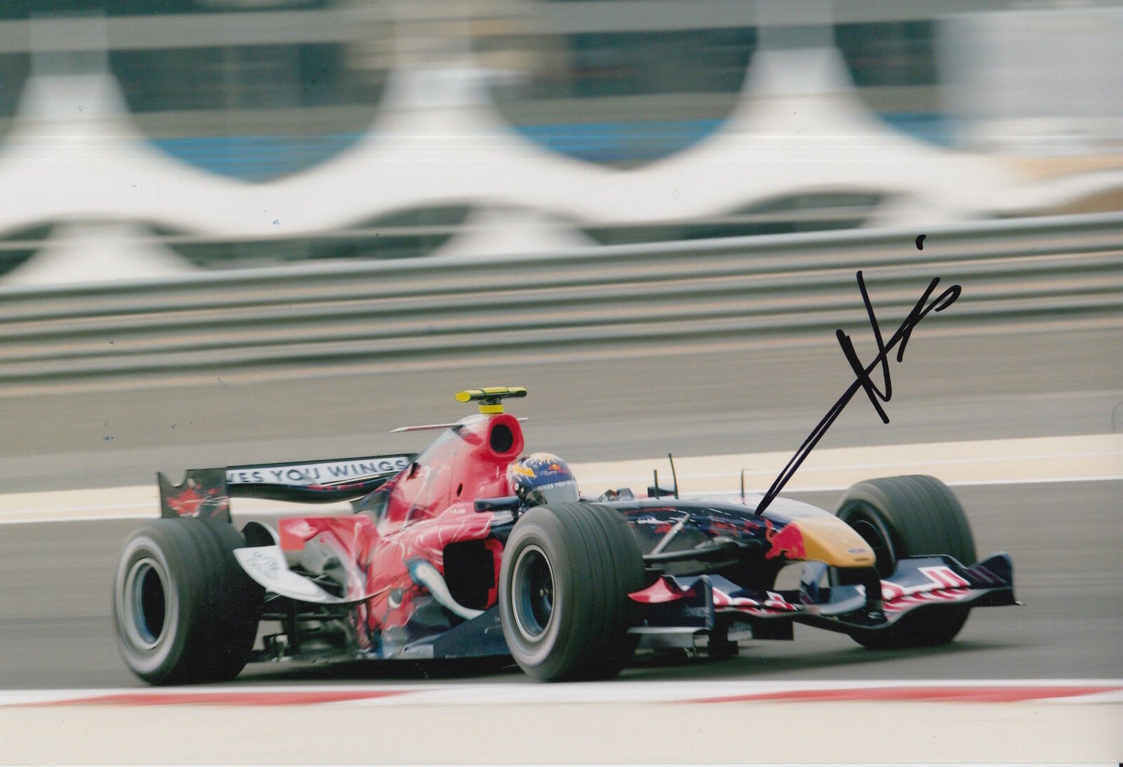 Neel Jani Hand Signed 12x8 Photo Poster painting Scuderia Toro Rosso F1 14.