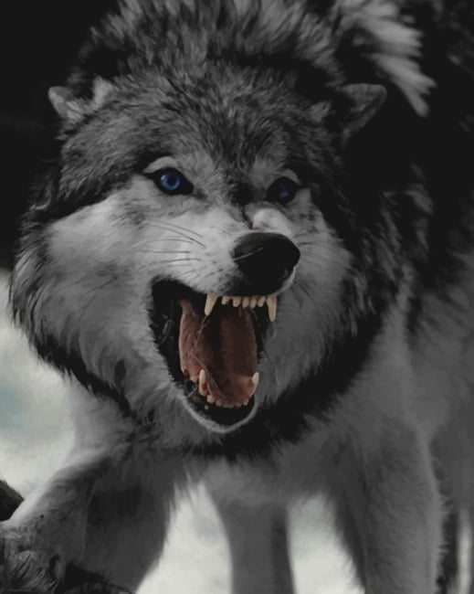 

Angry Wolf – Paint By Numbers - 40*50CM, 501 Original