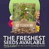 7,500 Fresh Pollinated Non-GMO Species Wildflower Seeds Package