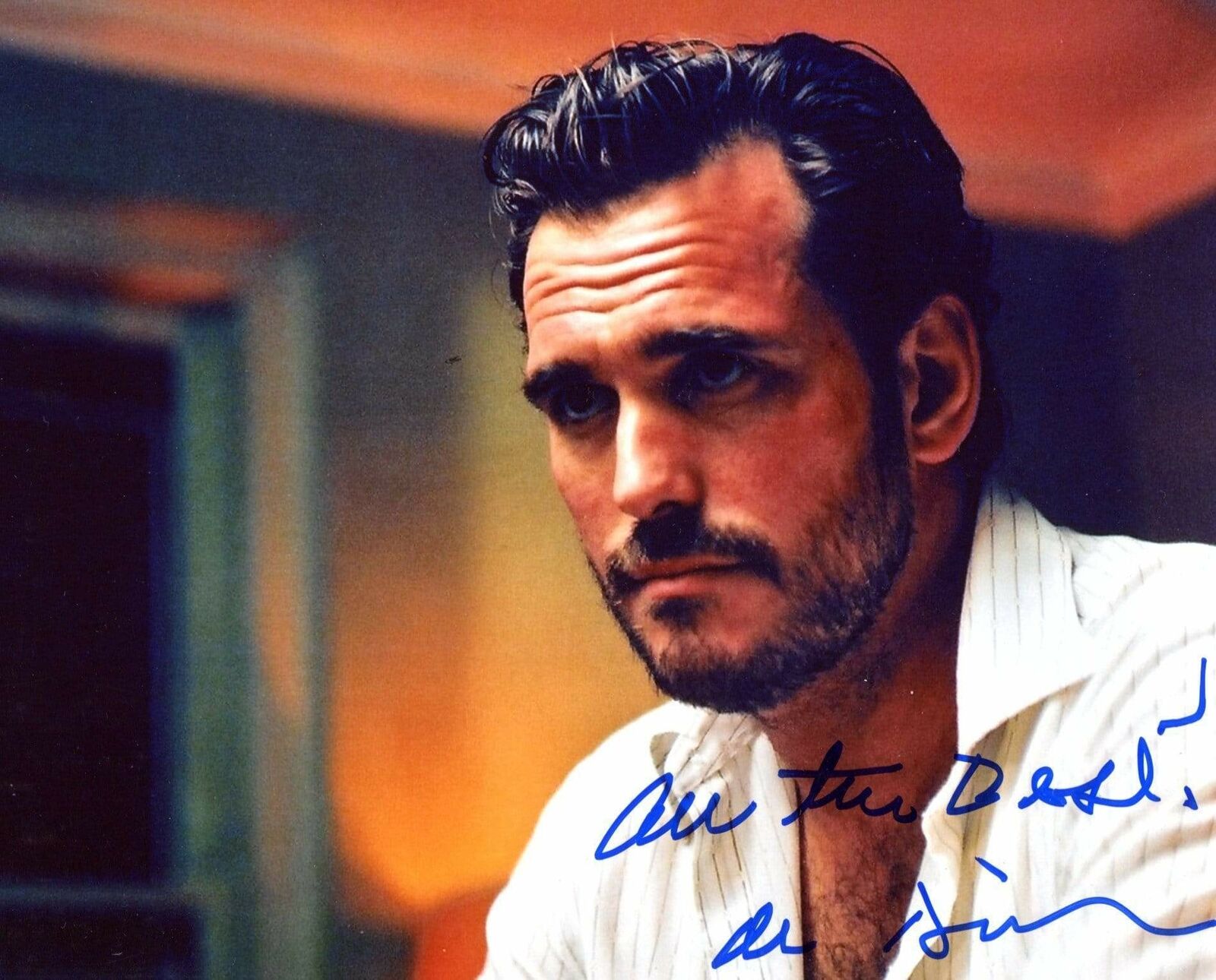 Matt Dillon ACTOR autograph, In-Person signed Photo Poster painting