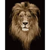 Painting By Numbers -Lion(40*50cm)