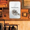 Dream Theater - Vintage Metal Signs - 20*30cm/30*40cm - Music