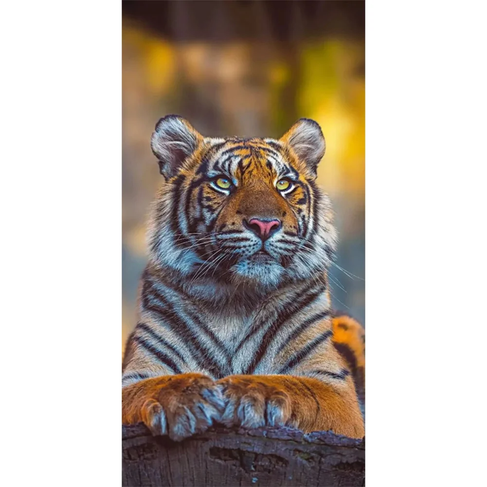 Partial AB Diamond Painting - Full Round Drill - Tiger(Canvas|45*85cm)