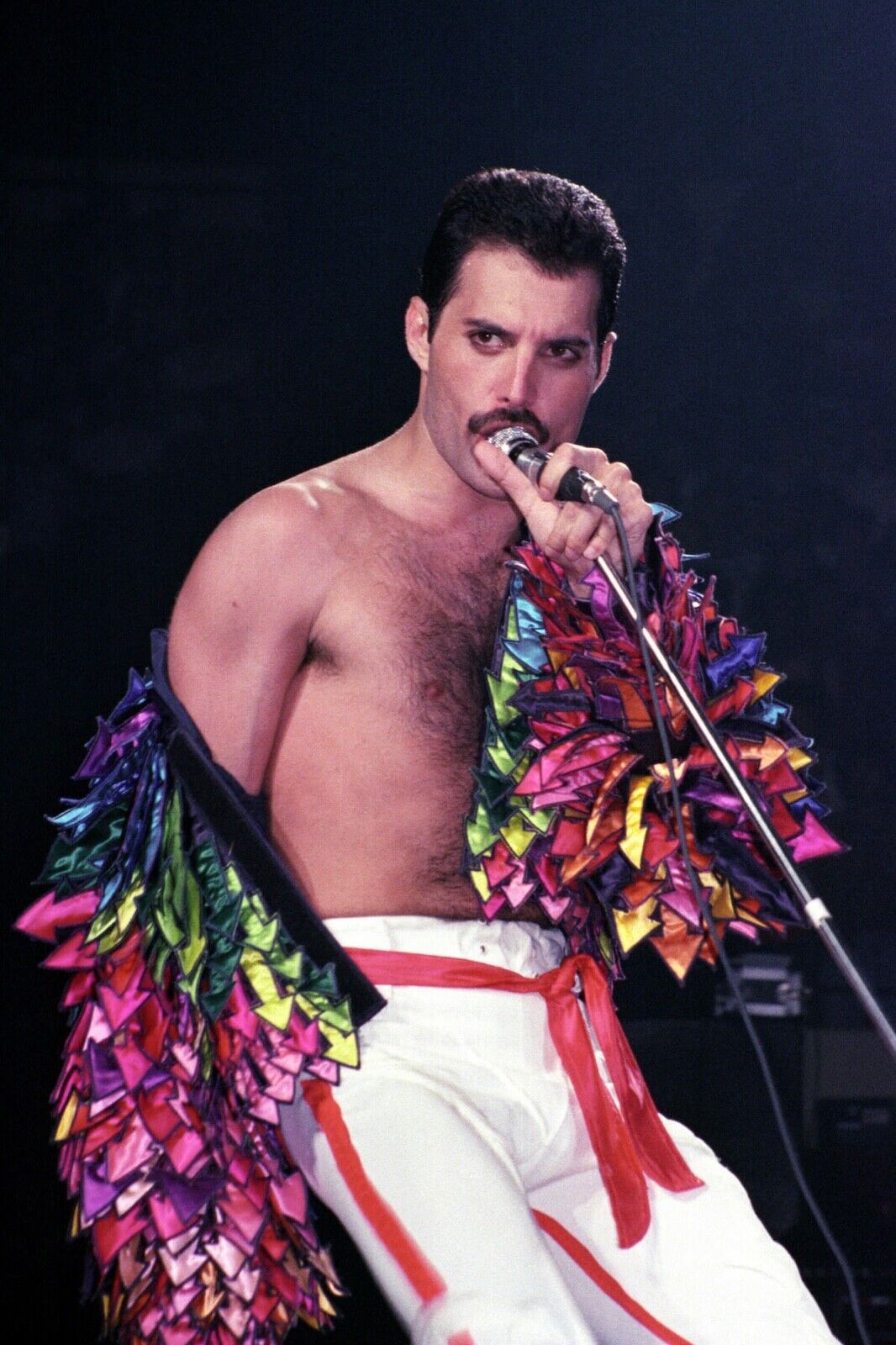 QUEEN BAND 8X10 Photo Poster painting Freddie Mercury!!!