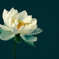 White Lotus on Green Background - Diamond Painting