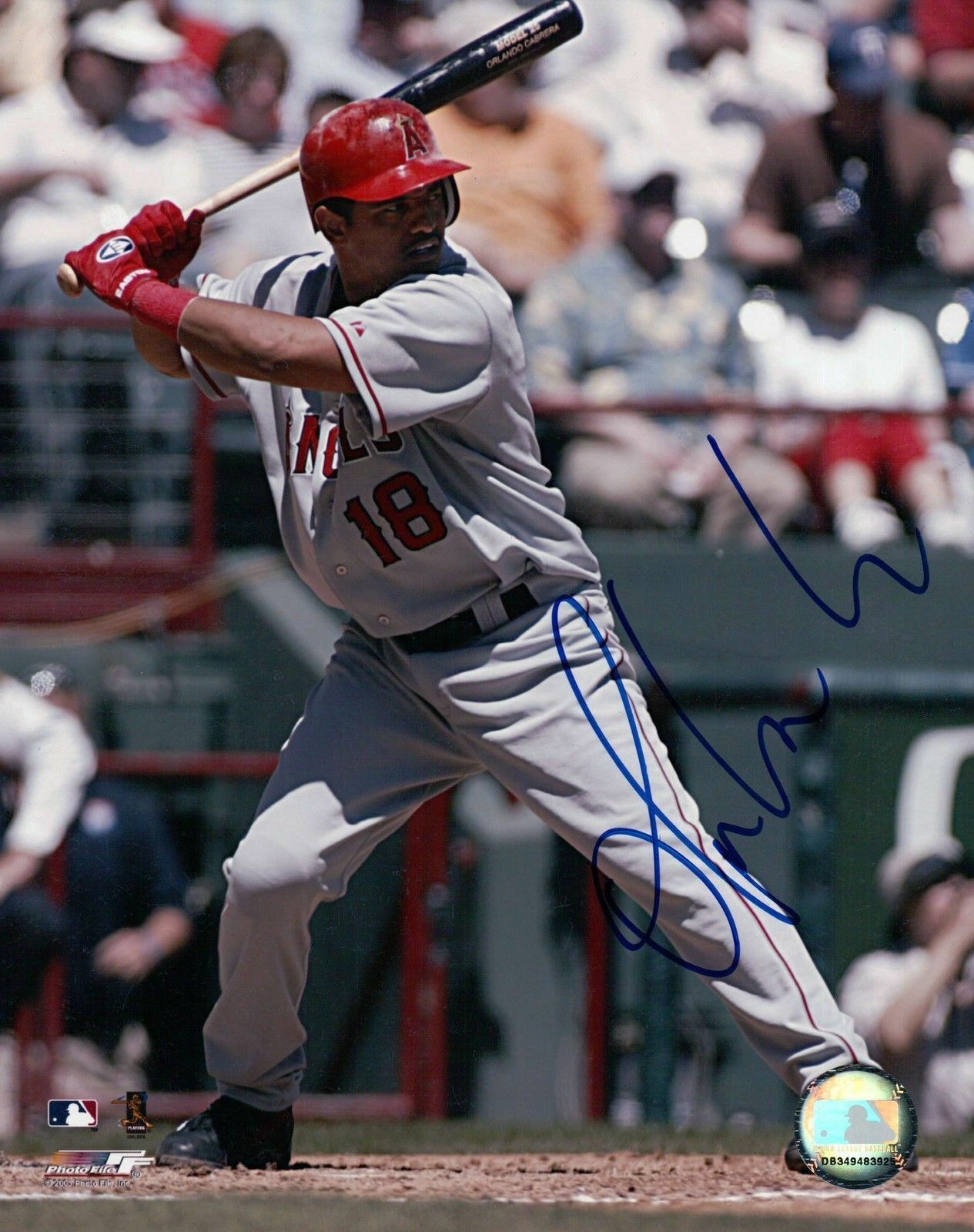 Orlando Cabrera Signed 8X10 Photo Poster painting Autograph Anaheim Angels Auto w/COA