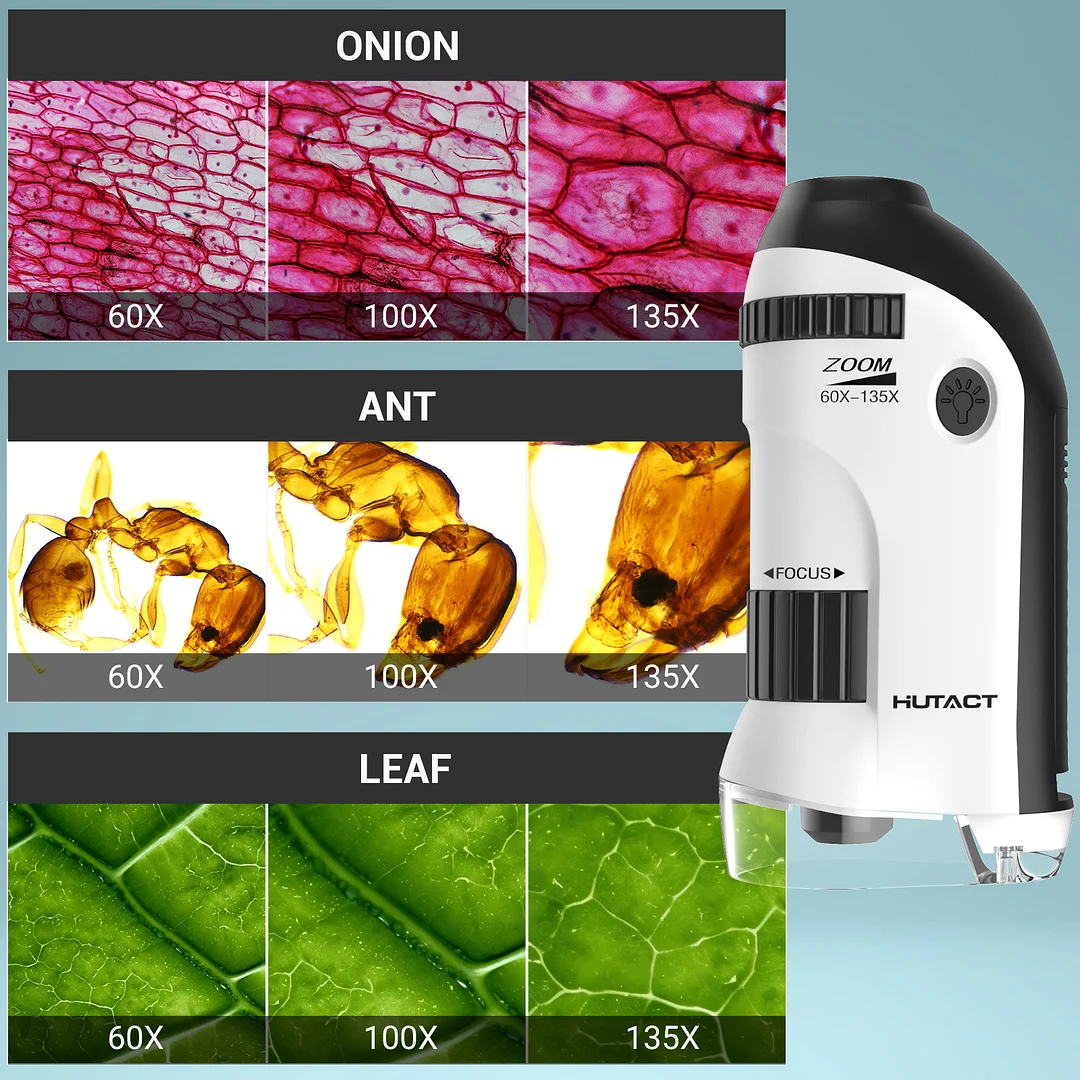 BEBANG Pocket Microscope, 60X-135X Handheld Mini kids Microscope, Portable Microscope for Kids Student Adults Microbiological Observation Lab Study