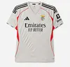 Joyfball 2025/2026 Benfica Away Football Shirt