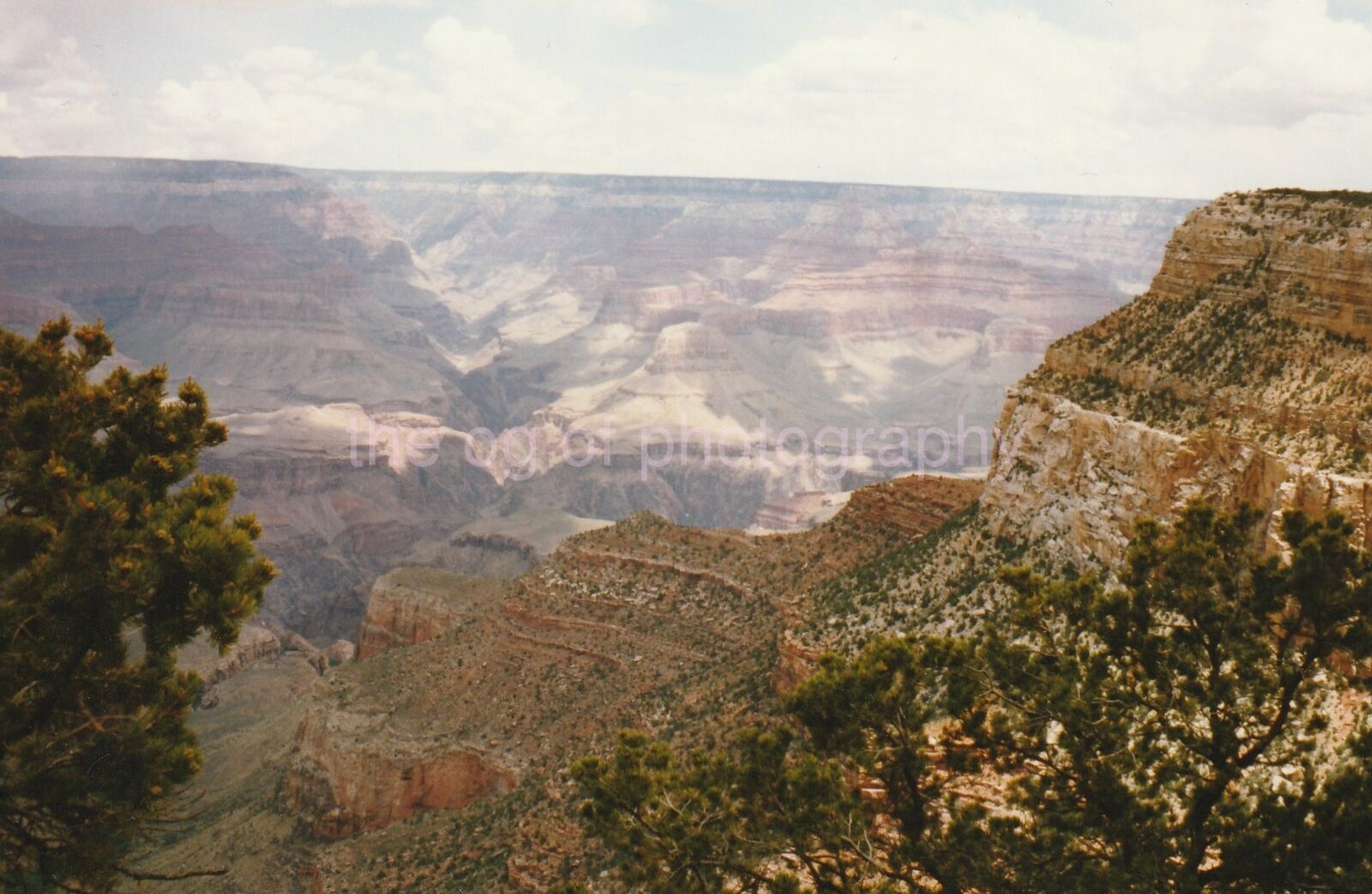 Grand Canyon FOUND Photo Poster painting ColorOriginal Snapshot VINTAGE 93 6 X