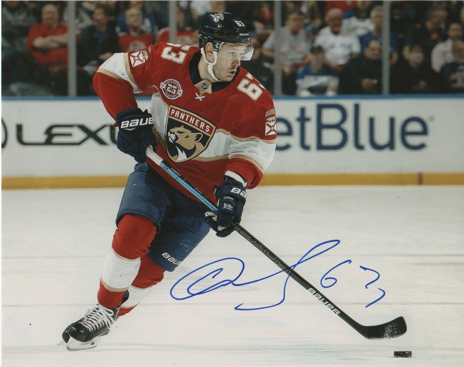 Florida Panthers Evgeny Dadonov Signed Autographed 8x10 Photo Poster painting COA B