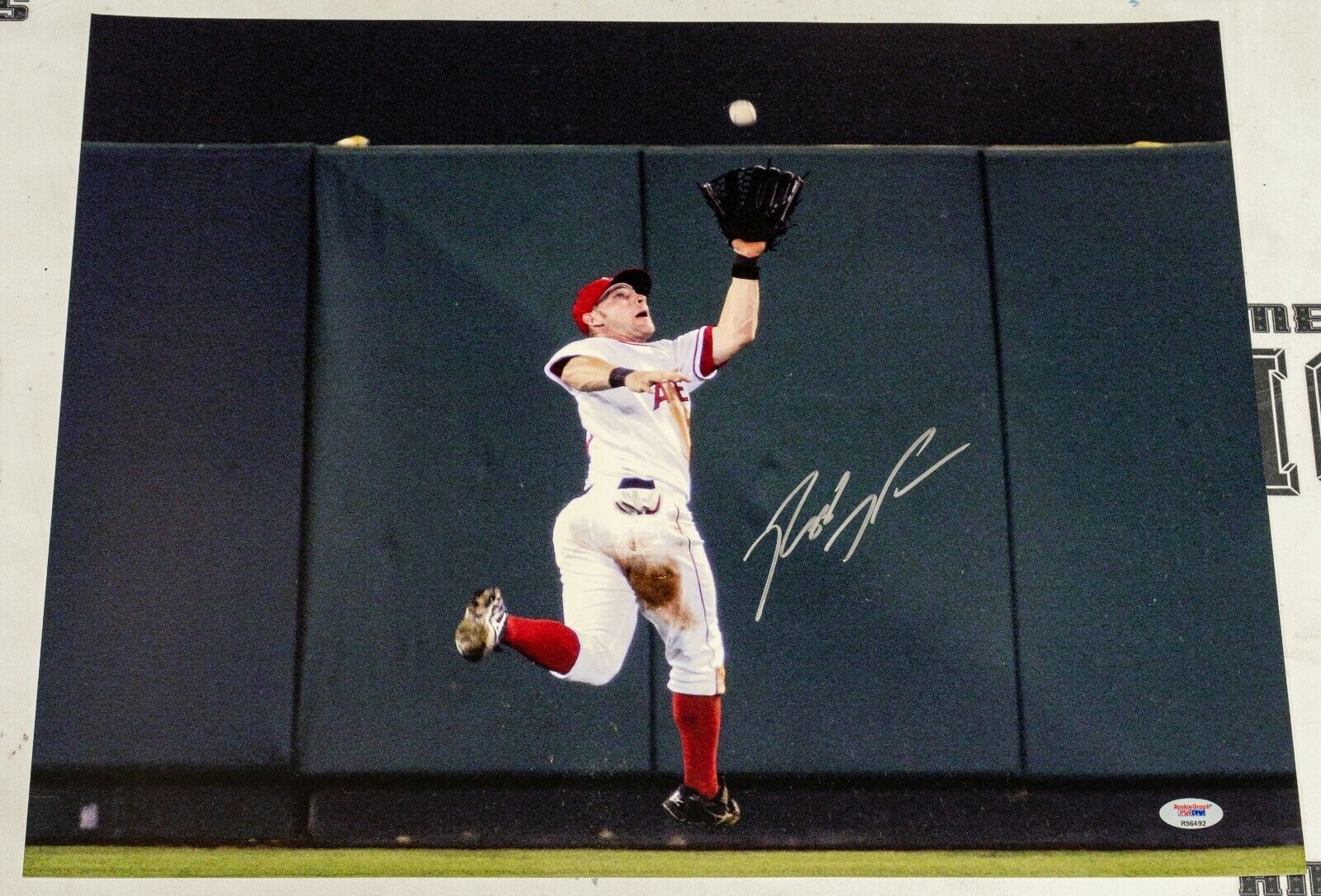 Reggie Willits Signed Angels Baseball 16x20 Photo Poster painting PSA/DNA Rookie COA Autograph 1