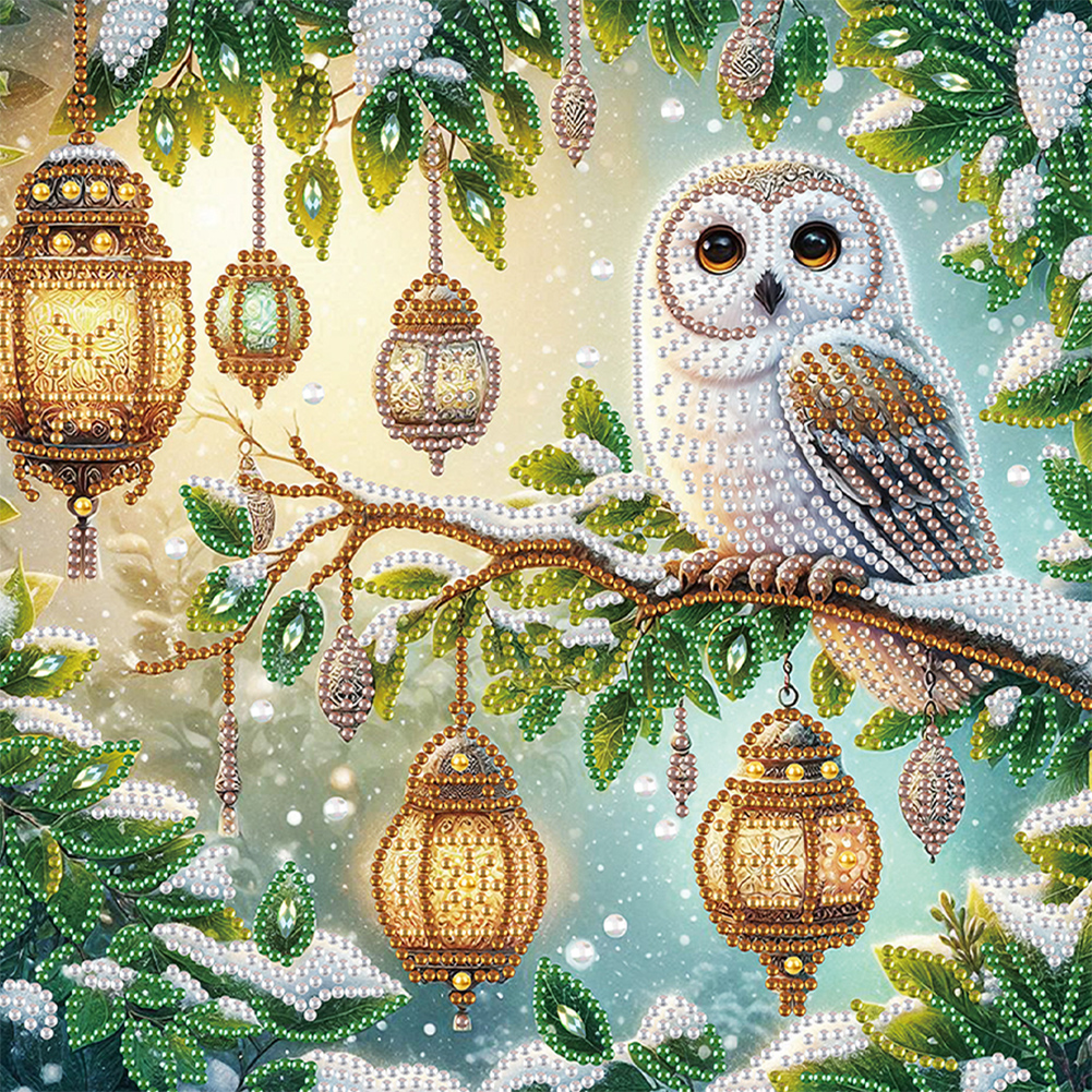 Owl 30*30cm(canvas) special shaped drill diamond painting