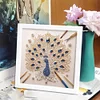 5D DIY Partial Special Shaped Drill Diamond Painting Kit Peacock Decor With Frame Kit 18x18cm