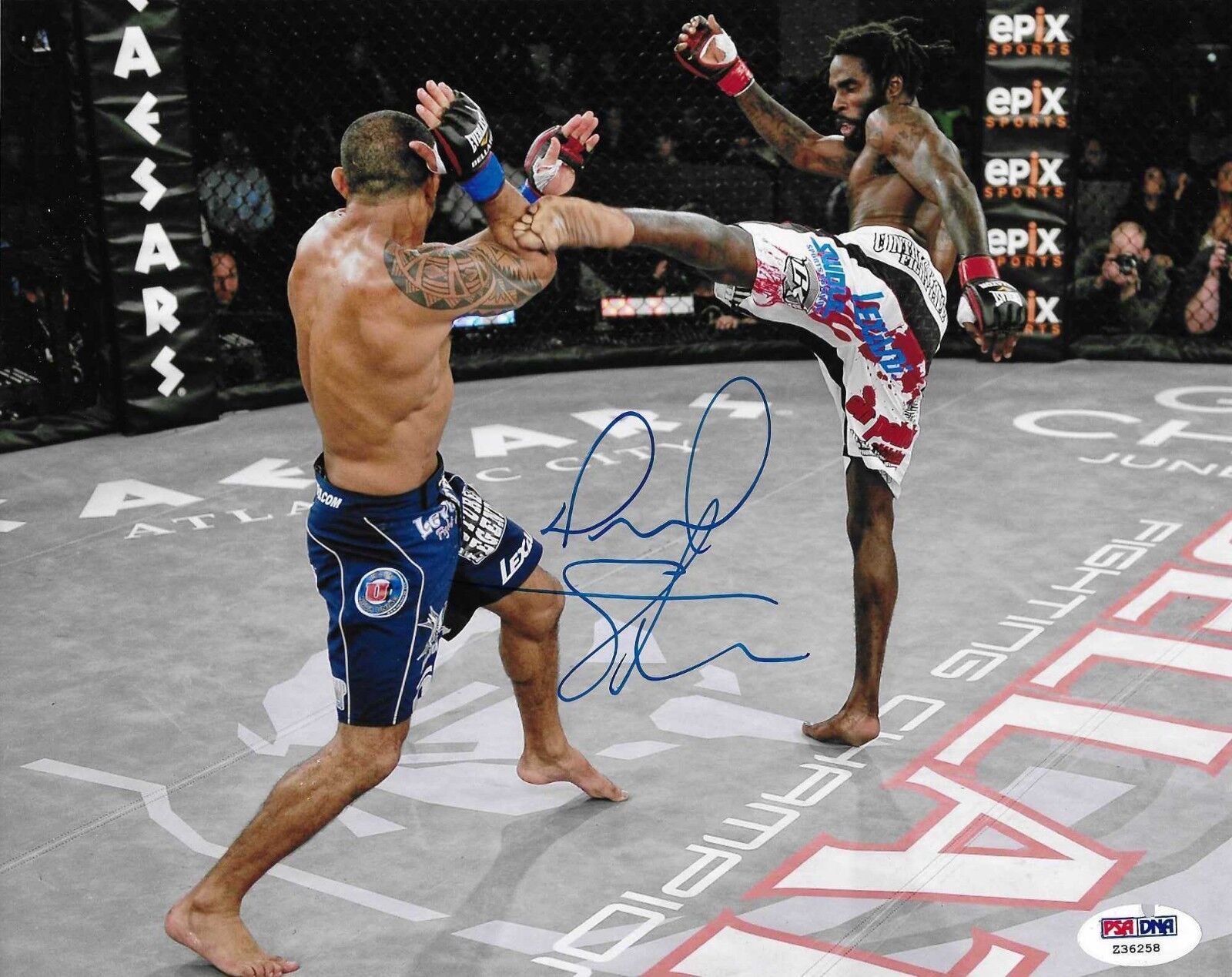 Daniel Straus Signed Bellator MMA 8x10 Photo Poster painting PSA/DNA COA UFC Picture Autograph 5