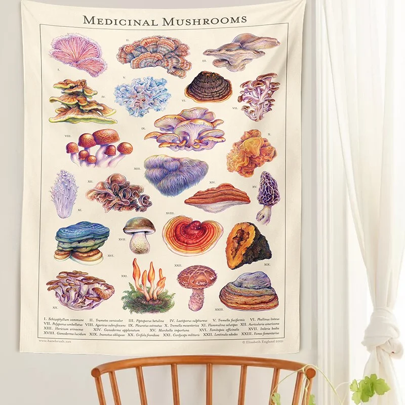 Mushroom Tapestry Wall Hanging Botanical Print Floral Illustration Identification Chart Diagram Illustration Wall Art Boho Decor