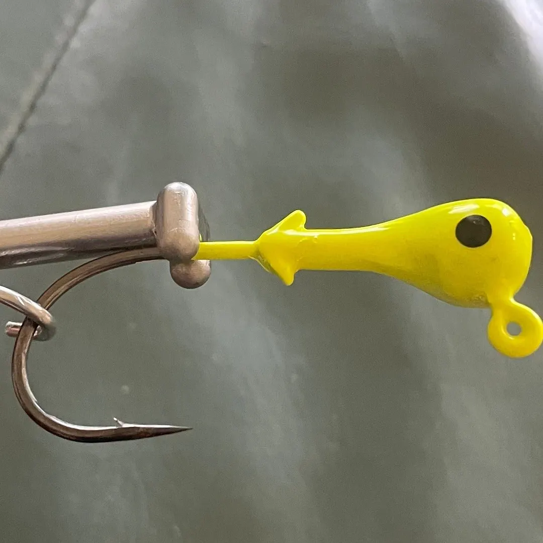 🎣Quick Release Fish Hook Extractor