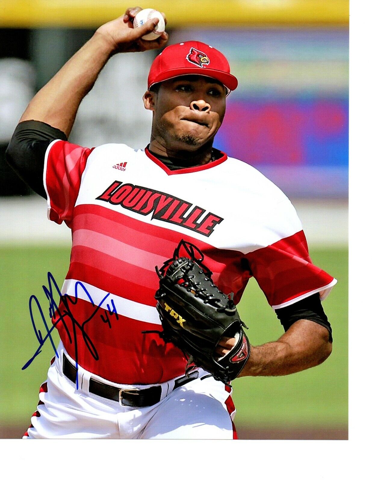 Jeff Thompson Detroit Tigers signed auto 8x10 Louisville College World Series b