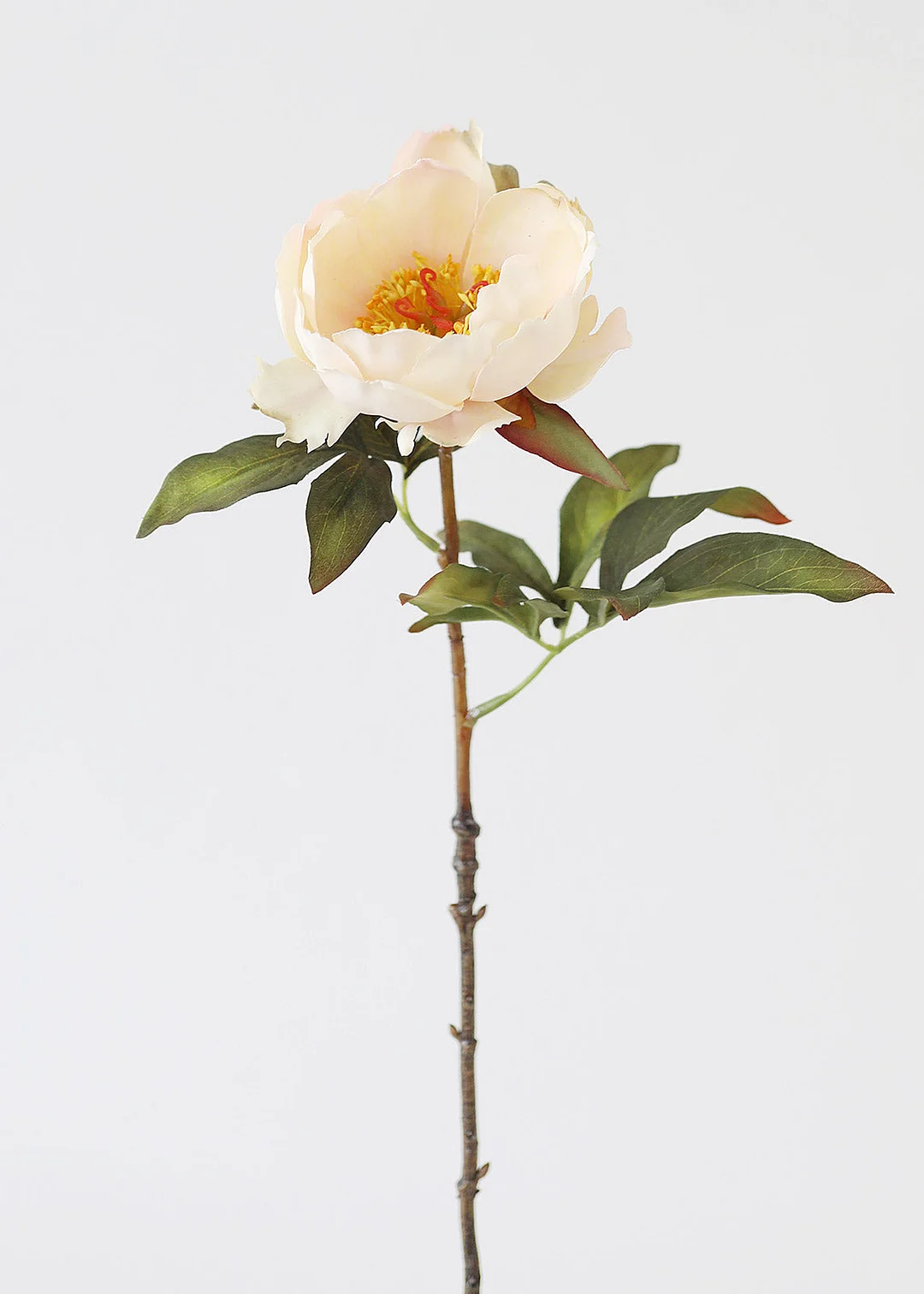 Cream Peach Artificial Peony Flower - 22"