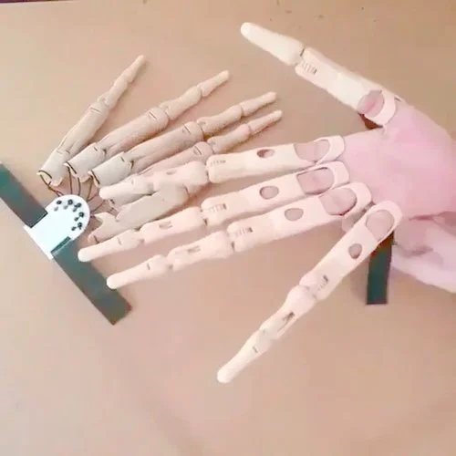 Halloween Articulated Finger