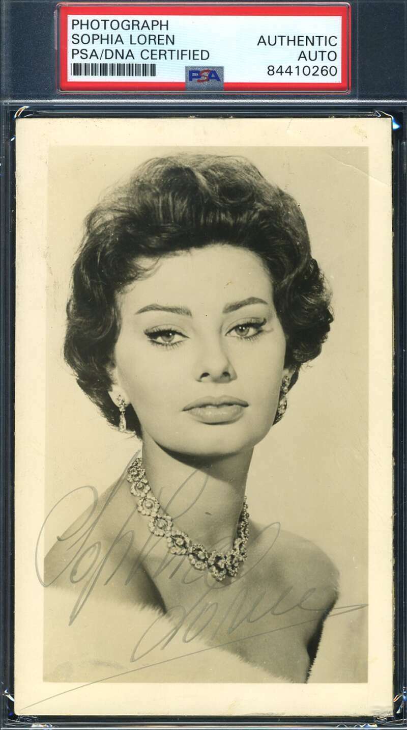 Sophia Loren PSA DNA Coa Signed Vintage 1950`s Photo Poster painting Autograph