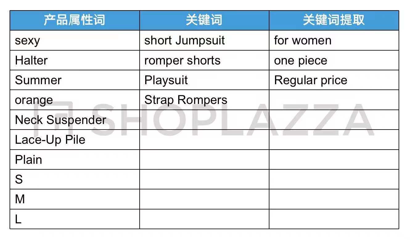 独立站优化产品关键词